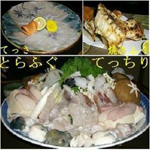 特選 活とらふぐ・てっちりコース 当店イチオシ ふぐフルコース