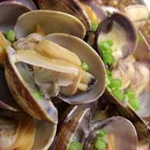 前獲れお魚の一品料理