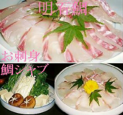 天然明石鯛づくしのお刺身（薄造り）と鯛シャブコース